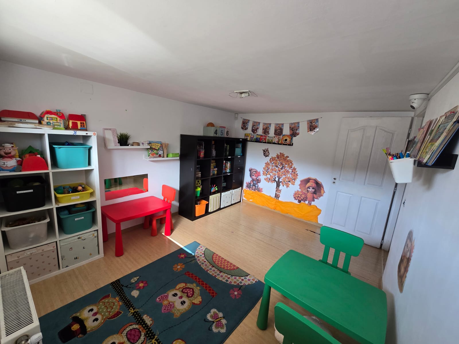 Echipa în activitate